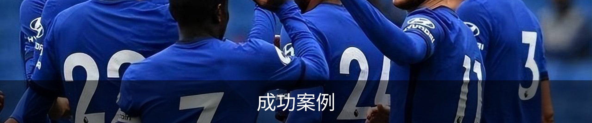 成功案例